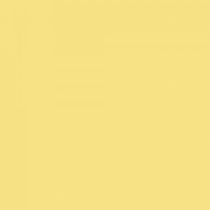 dayroom yellow